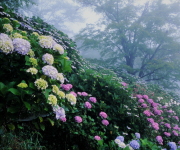 季節で変わります